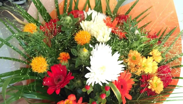 Fleurs O Naturel Catalogue - Châtellerault