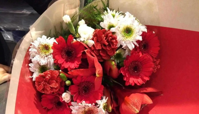 Fleurs O Naturel Promotion - Châtellerault
