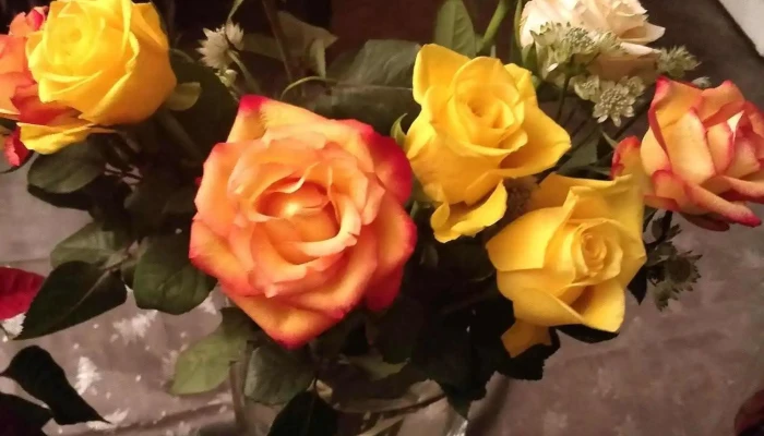 Fleurs O Naturel Rosier - Châtellerault