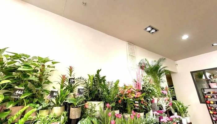 Fleurs O Naturel Street View Et 360deg - Châtellerault
