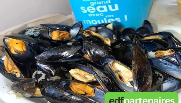Flunch Brive La Gaillarde -  Photos Du Proprietaire - Brive-la-gaillarde