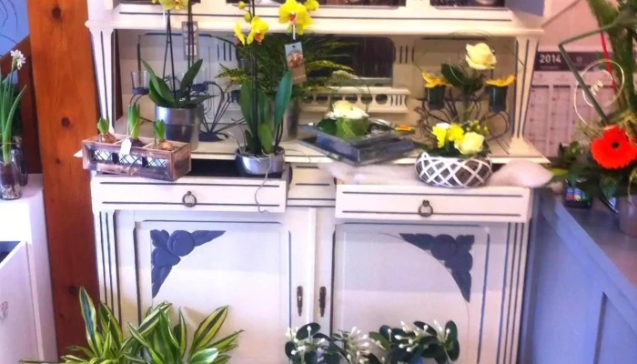 Follement Fleurs -  Interieur - Aiffres
