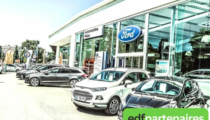 Ford Bruges -    Parot Tout - Bruges
