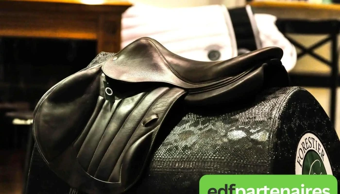 Forestier Sellier -  Interieur - Bidart