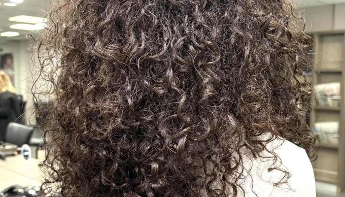 Franck Provost -    Coiffeur Chauray Chauray - Chauray