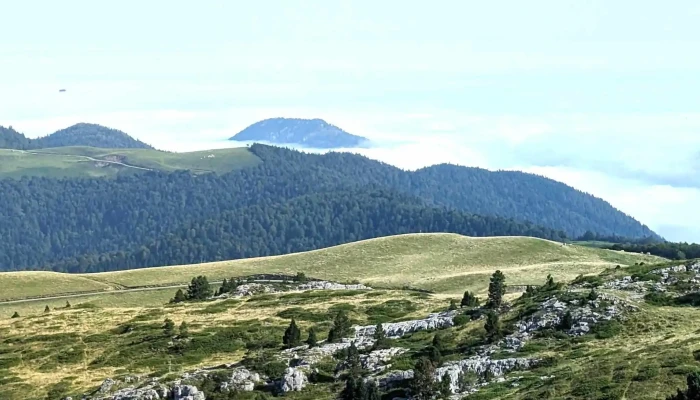 Fromagerie -  Cabane Darlas  Ferme Recebire Site Web - Arette