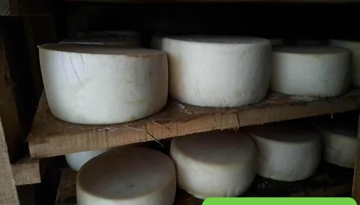 Fromagerie Jorajuria Jean -  Pascal Interieur - Saint-pée-sur-nivelle