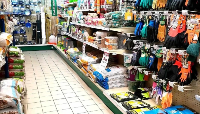 Gamm Vert -  Interieur - Agonac