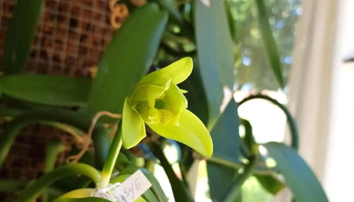 Gamm Vert -  Jardinerie - La Tremblade