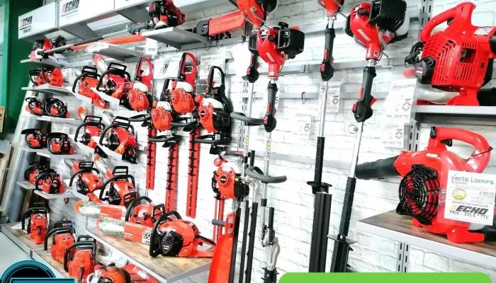 Gassion -  Interieur - Saint-denis-de-pile