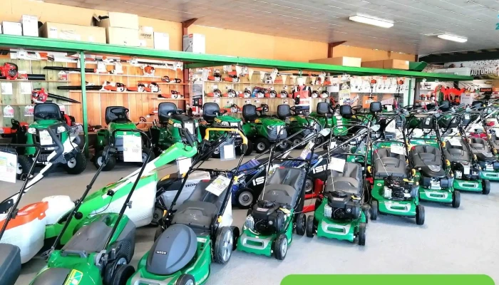 Gassion -  Tout - Saint-denis-de-pile