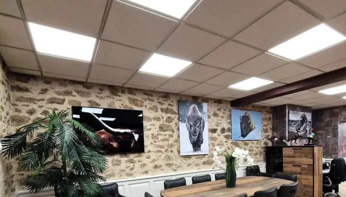 Hh Limoges   Meubles   Canapes Couzeix - Couzeix