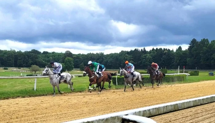 Hippodrome De Pompadour -  Champ De Courses - Saint-sornin-lavolps