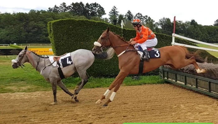 Hippodrome De Pompadour -  Cheval - Saint-sornin-lavolps