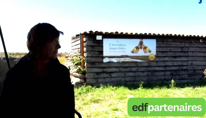 Huitre Dore Videos - Ars-en-ré
