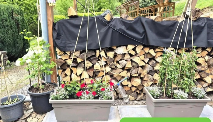 Jardiland -  Les Plus Recentes - Brive-la-gaillarde