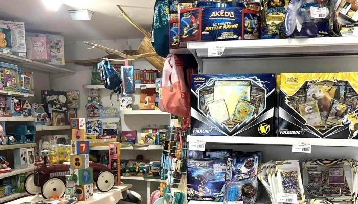Jouets Sajou -  Prix - Saint-pée-sur-nivelle