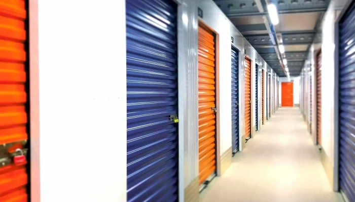 Kikbox Niort -  Photos Du Proprietaire - Niort