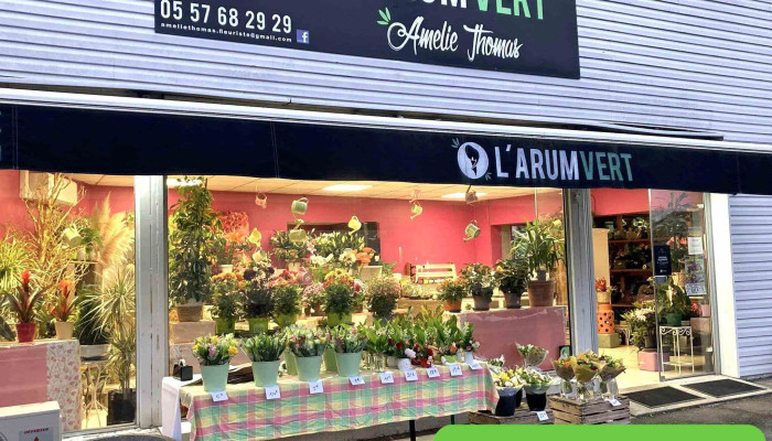 L'Arum Vert - 33710 Prignac-Et-Marcamps