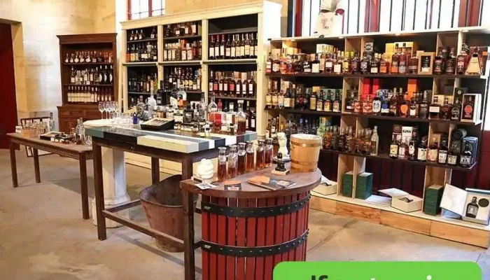 L'Esprit des vins Léognan - 33850 Léognan