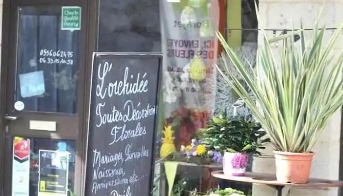 L'Orchidée - Ambarès-Et-Lagrave
