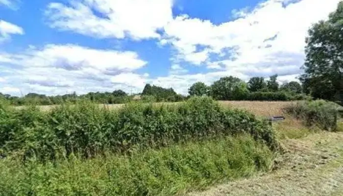 La Brebiliere Zinzin Du Limousin -  Tout - Val-d'oire-et-gartempe