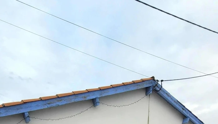 la cabane aux coquillages - Arès