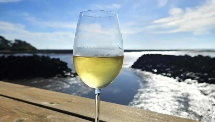 La Cabane Du Bout -  Vin - Arès