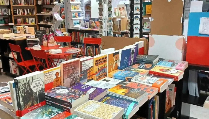 La Curieuse Librairie Troquet -  Bibliotheque - Arudy