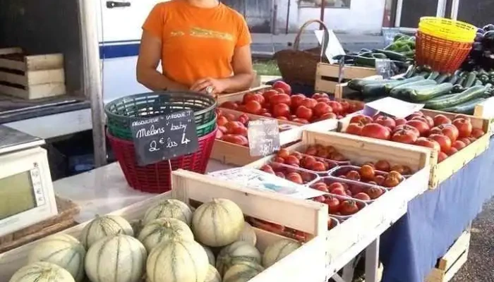 La Ferme d'Al Souysse - 47340 Laroque-Timbaut