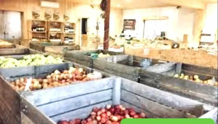 La Ferme De Lousse Tout - Aussevielle
