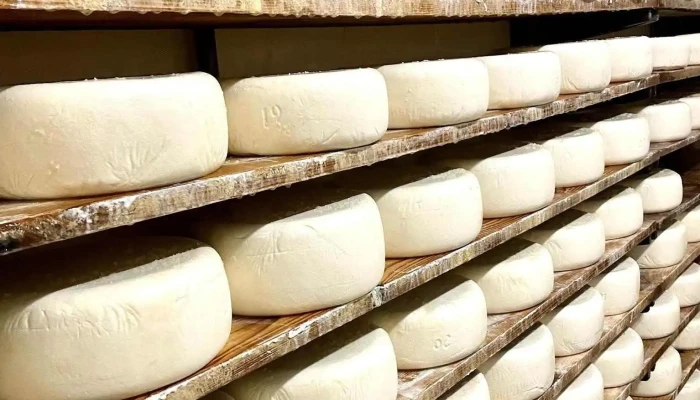 La Ferme Salies -  Salet Fabrication Du Fromage - Arette
