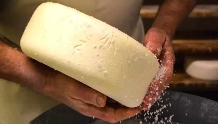 La Ferme Salies -  Salet Fromage - Arette
