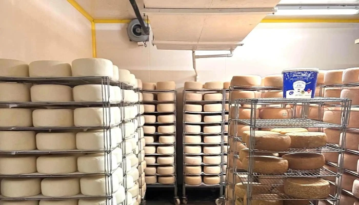 La Ferme Salies -  Salet Prix - Arette