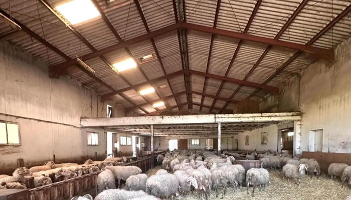 La Ferme Salies -  Salet Promotion - Arette