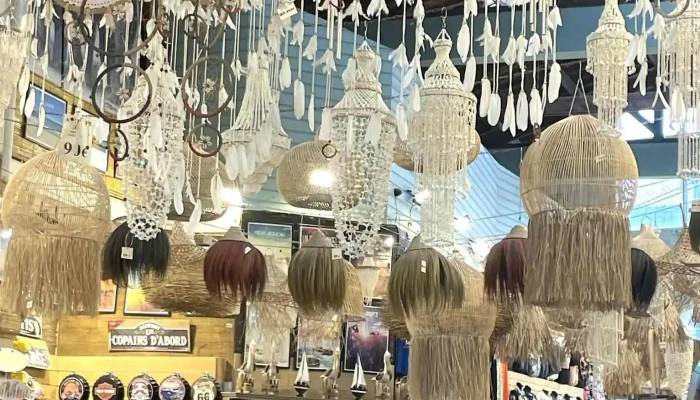 La Galerie - 40200 Mimizan