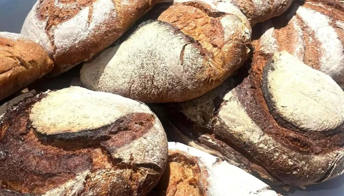 La Ptite Boulangerie Dandernos Photos Du Proprietaire - Andernos-les-bains