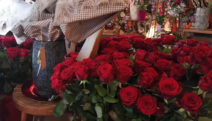 La Vie En Fleurs -  Catalogue - Aytré