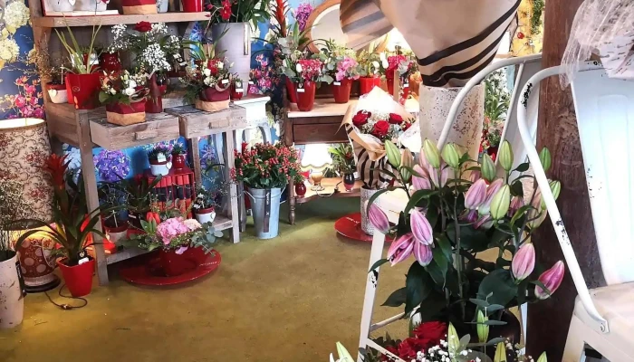 La Vie En Fleurs -  Fleuriste - Aytré