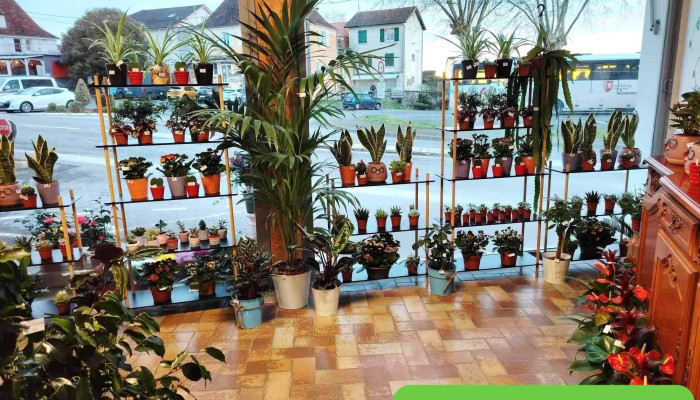 La Vie En Fleurs -  Interieur - Arthez-de-béarn