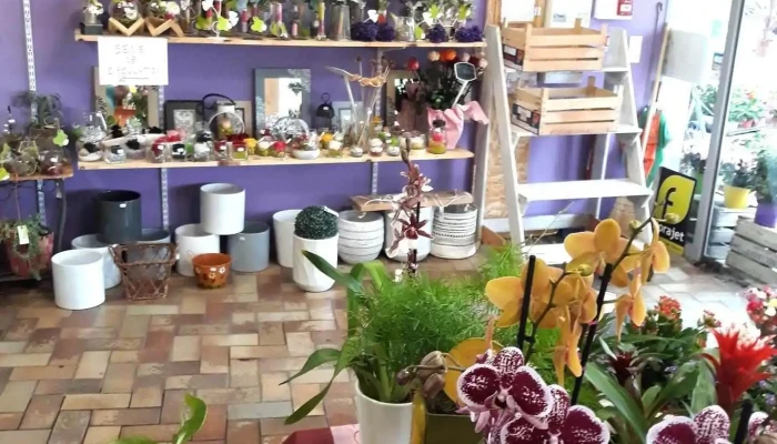 La Vie En Fleurs -  Photos Du Proprietaire - Arthez-de-béarn