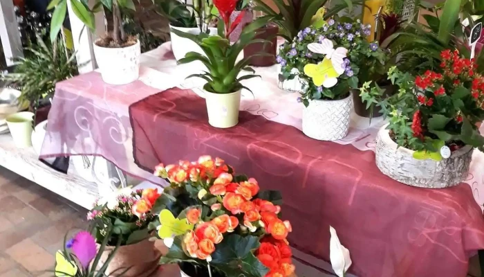 La Vie En Fleurs -  Rosier - Arthez-de-béarn