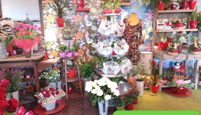 La Vie En Fleurs -  Rosier - Aytré