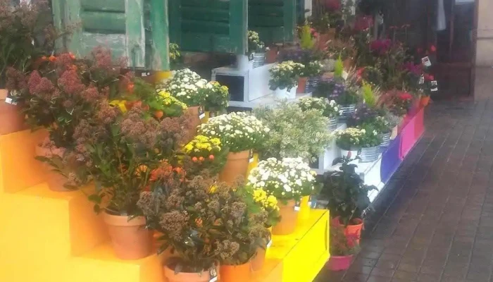La Vie En Fleurs -  Tout - Aytré