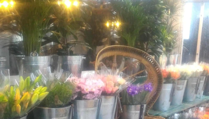 La Vie En Fleurs -  Videos - Aytré