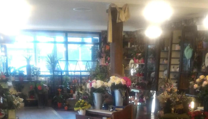 La Vie En Fleurs -  Zone - Aytré