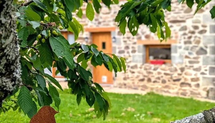 La Vieille Maison aux Canards 🦆 - 87130 Neuvic-Entier