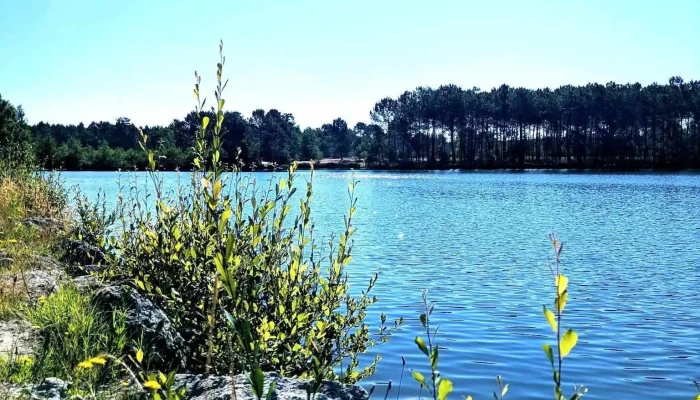 Lac Montendre - 17130 Montendre