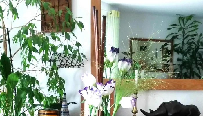 Larrosoir Fleuriste Andernos Adresse - Andernos-les-bains