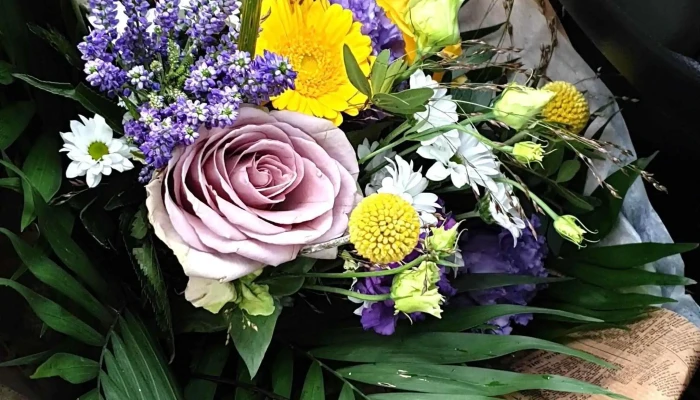 Larrosoir Fleuriste Andernos Commentaires - Andernos-les-bains